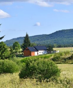 Chalupa Míša - Volary (Prachatice) - Šumava